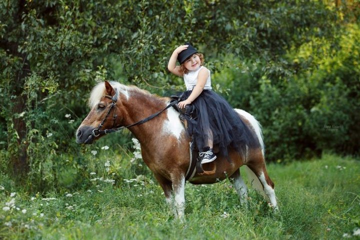 Pony Trekking at Castle Rednock