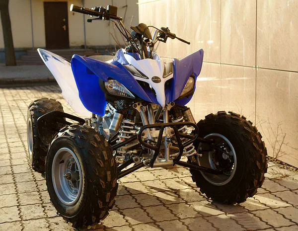 Shetland Pony Driving